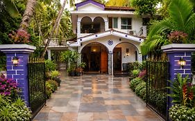 Jes Coastal Comforts
